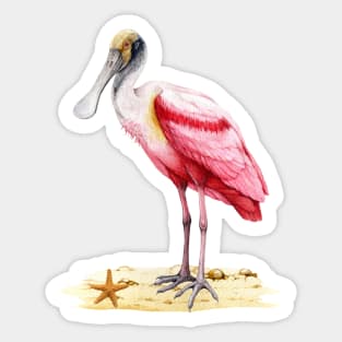 Spoonbill Sticker